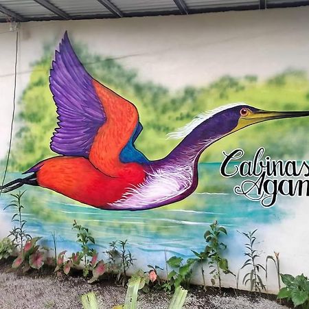 Cabinas Agamy Tortuguero Ngoại thất bức ảnh