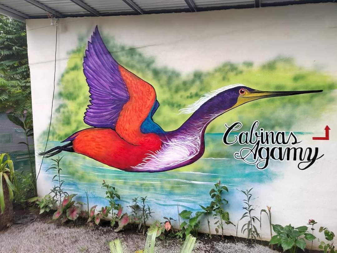 Cabinas Agamy Tortuguero Ngoại thất bức ảnh