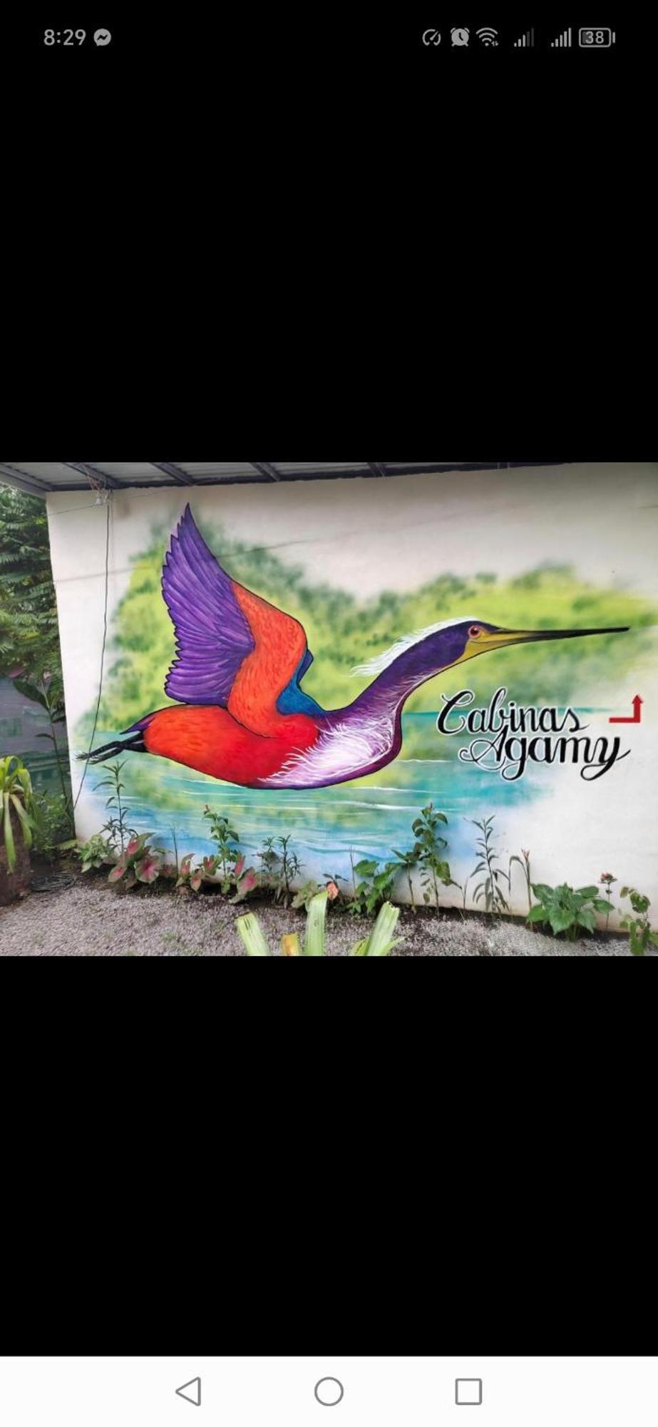 Cabinas Agamy Tortuguero Ngoại thất bức ảnh