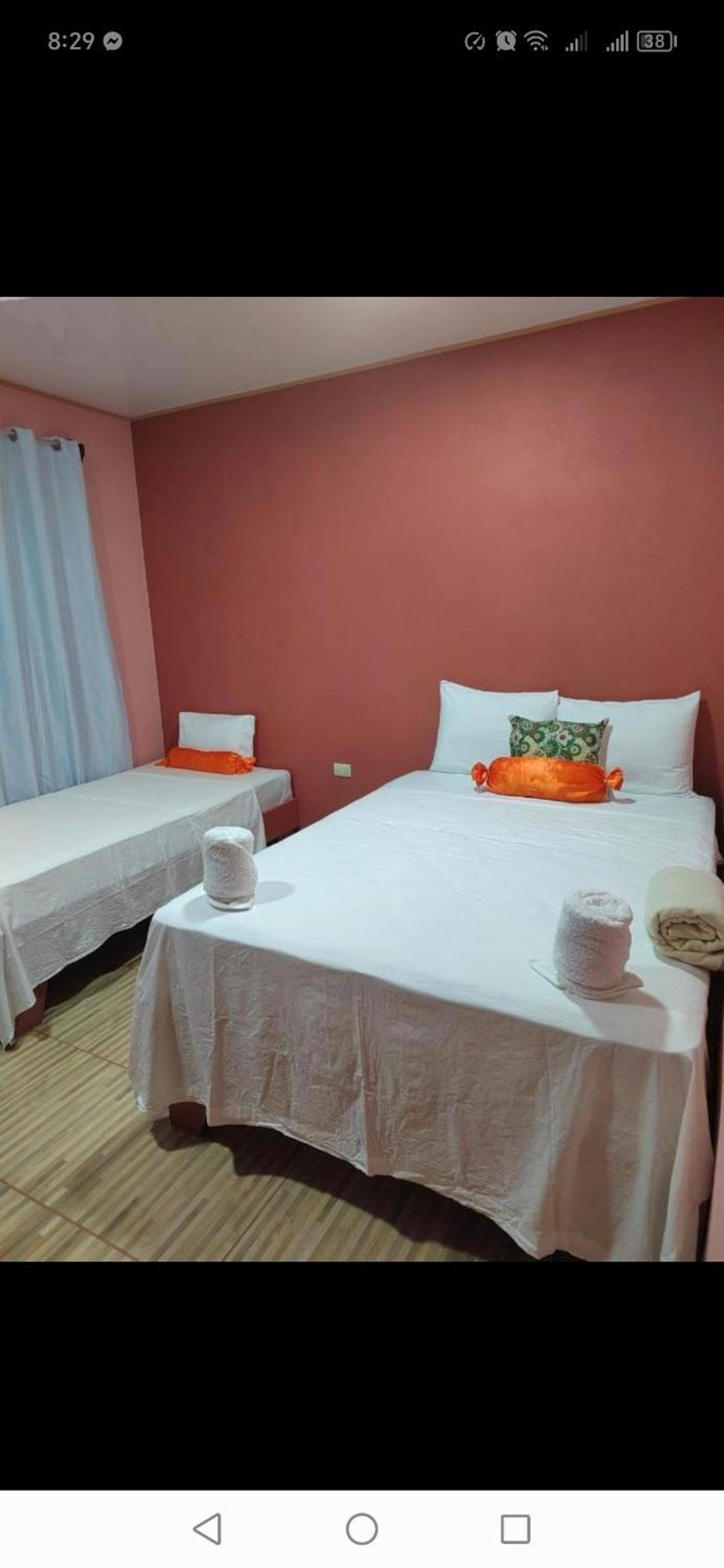 Cabinas Agamy Tortuguero Ngoại thất bức ảnh
