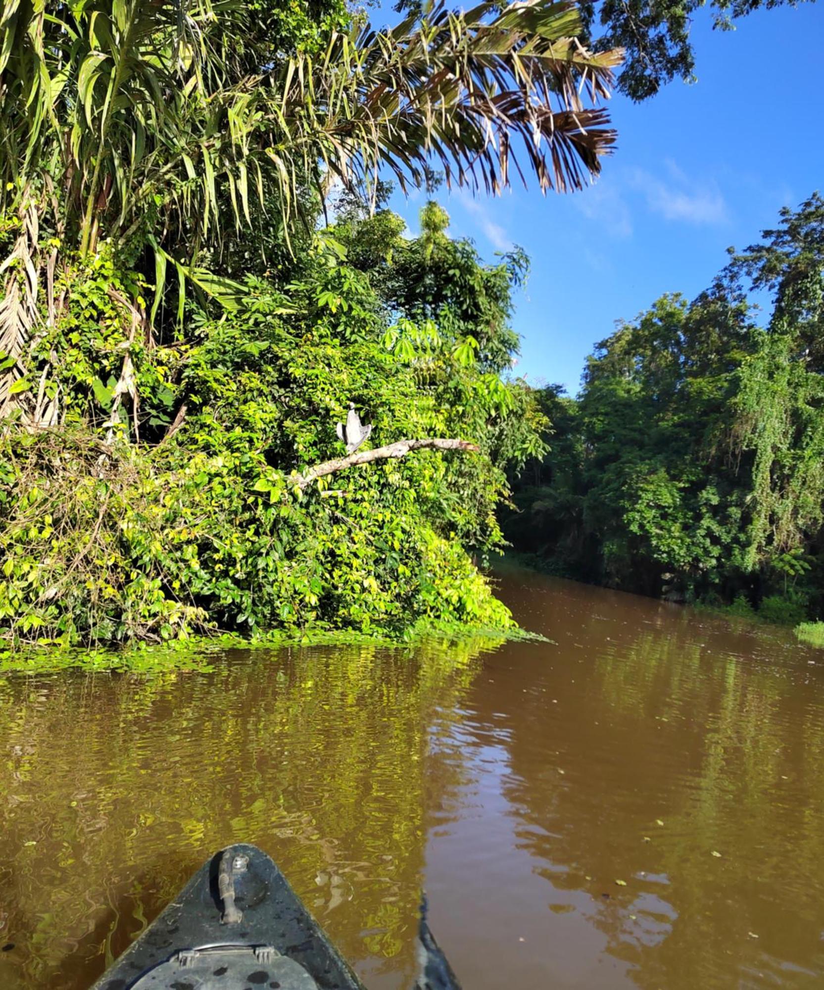 Cabinas Agamy Tortuguero Ngoại thất bức ảnh