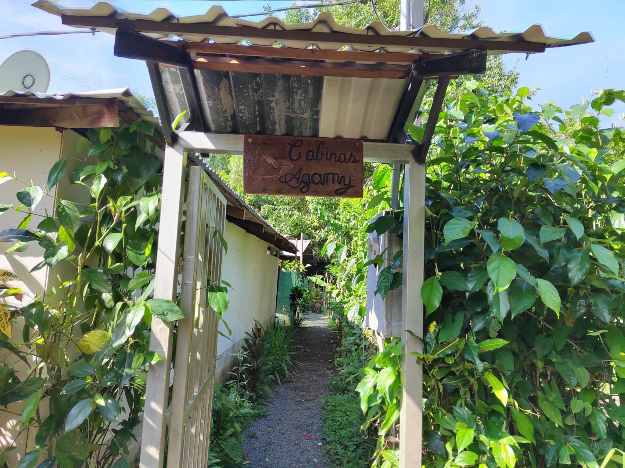 Cabinas Agamy Tortuguero Ngoại thất bức ảnh